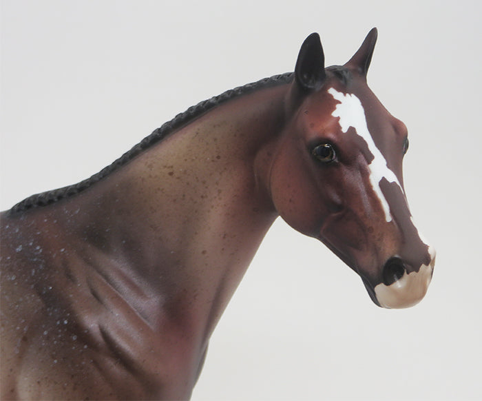 TRUMPETTE-BAY ROAN ISH-OOAK 9/18