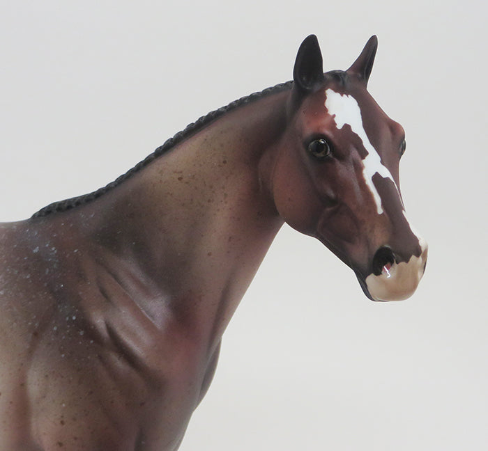 TRUMPETTE-BAY ROAN ISH-OOAK 9/18