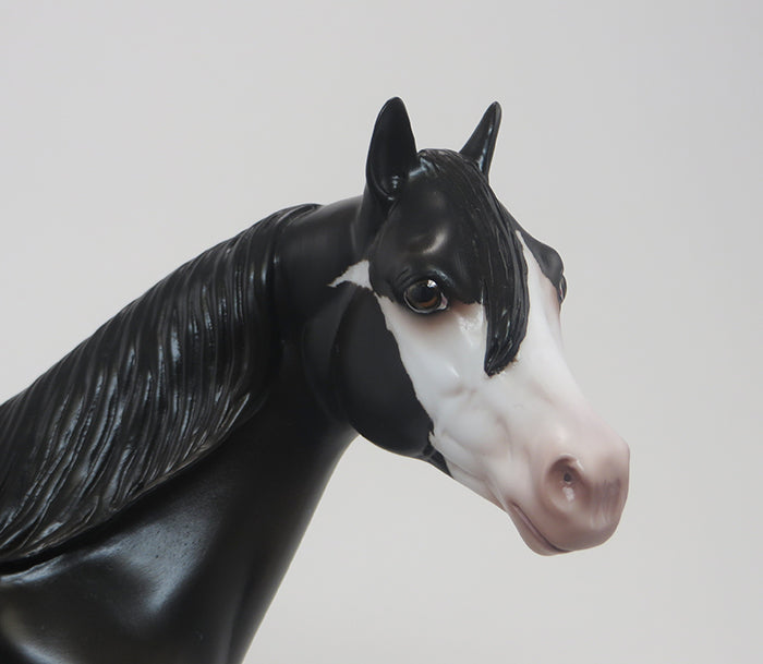 KIERAN-(Little Dark One)-OOAK-Blanket Appaloosa 9/18