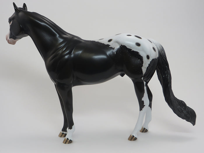 KIERAN-(Little Dark One)-OOAK-Blanket Appaloosa 9/18