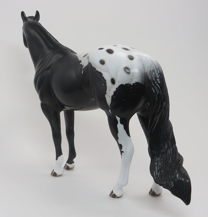 KIERAN-(Little Dark One)-OOAK-Blanket Appaloosa 9/18