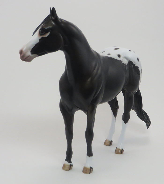 KIERAN-(Little Dark One)-OOAK-Blanket Appaloosa 9/18