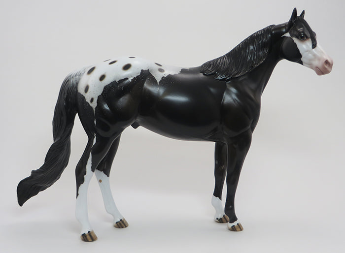 KIERAN-(Little Dark One)-OOAK-Blanket Appaloosa 9/18