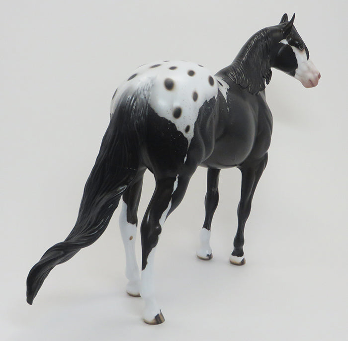 KIERAN-(Little Dark One)-OOAK-Blanket Appaloosa 9/18