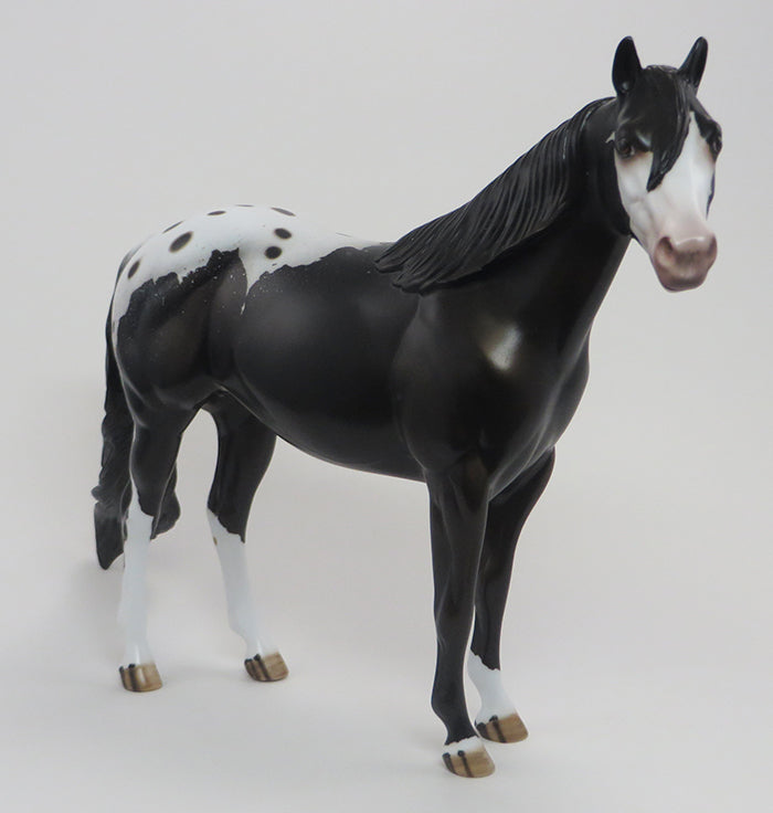 KIERAN-(Little Dark One)-OOAK-Blanket Appaloosa 9/18