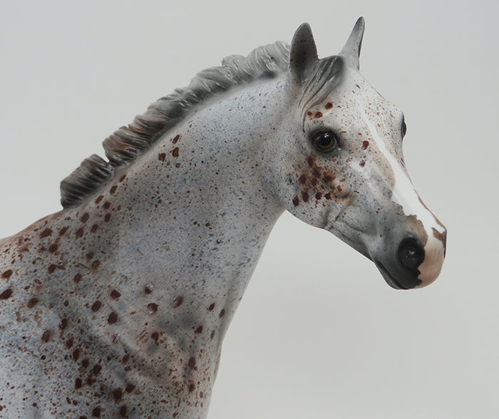 COWBOY WAY-OOAK-APPALOOSA ISH 9/18