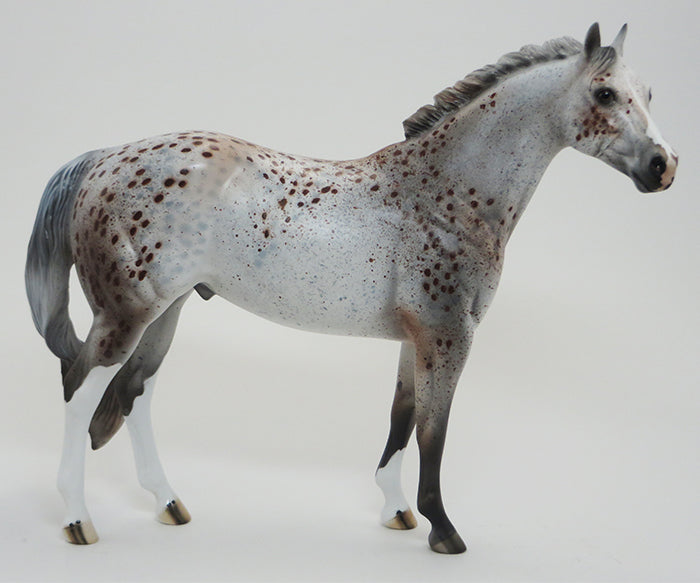 COWBOY WAY-OOAK-APPALOOSA ISH 9/18