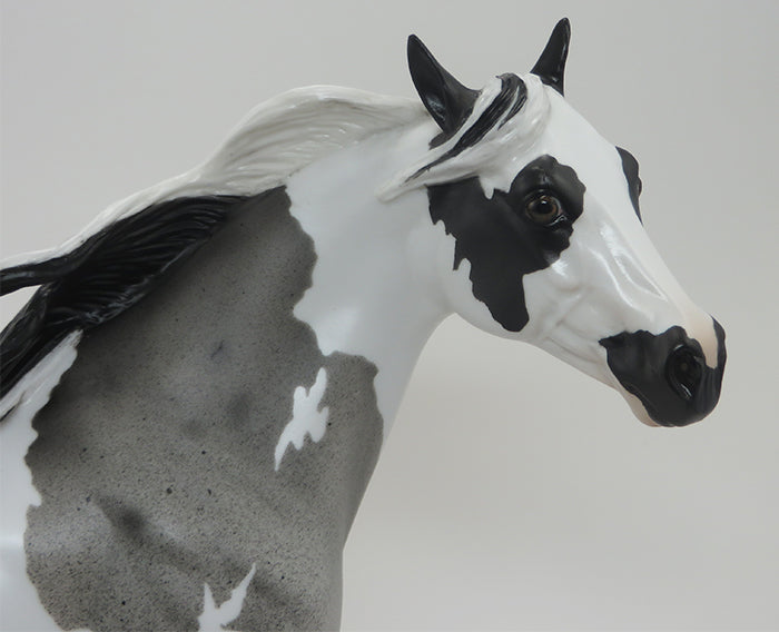 TI KIPI - BLUE ROAN PAINT ISH - LE6