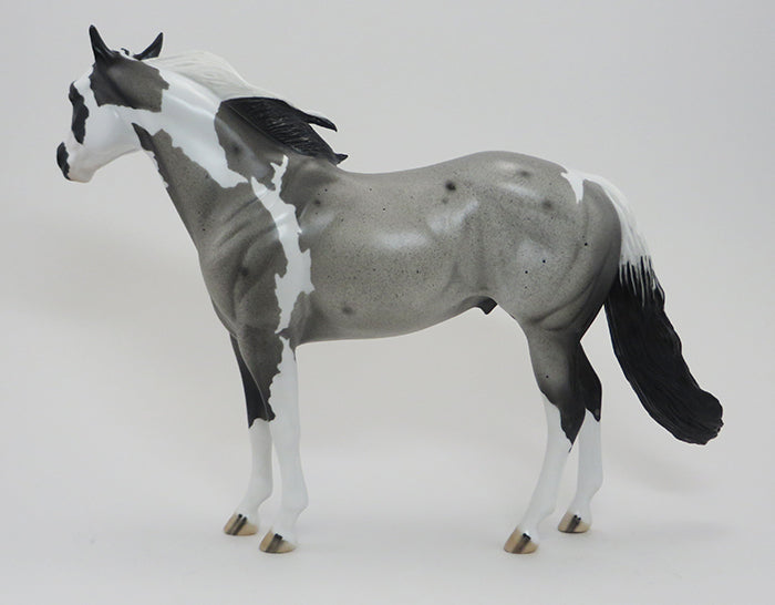 TI KIPI - BLUE ROAN PAINT ISH - LE6