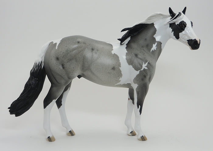 TI KIPI - BLUE ROAN PAINT ISH - LE6