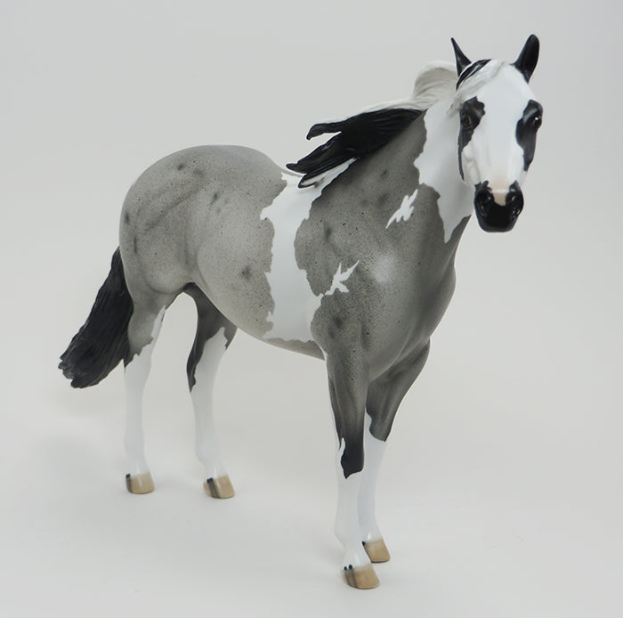 TI KIPI - BLUE ROAN PAINT ISH - LE6