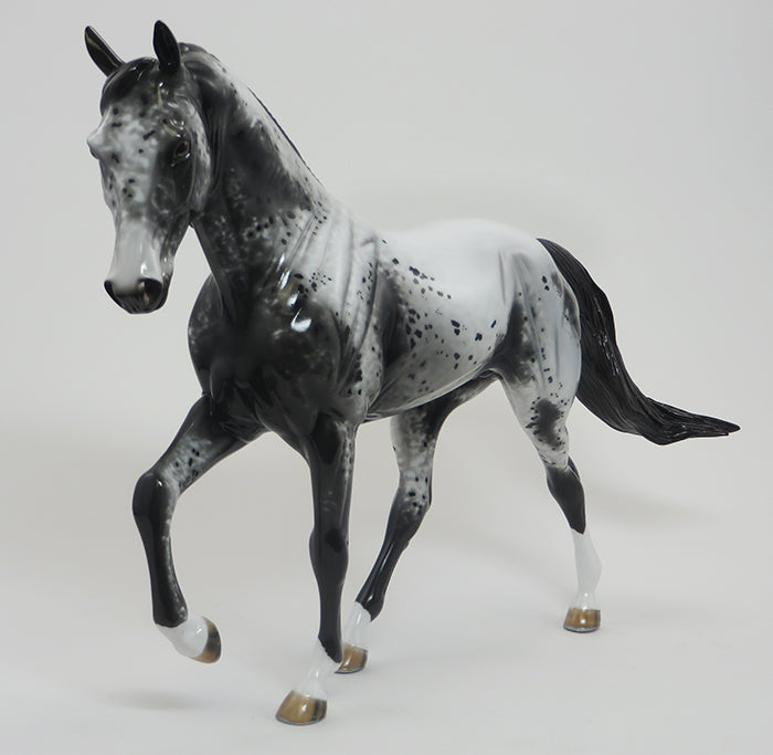 AQUENE- OOAK Dark Grey Roan Tennessee Walker 8/21
