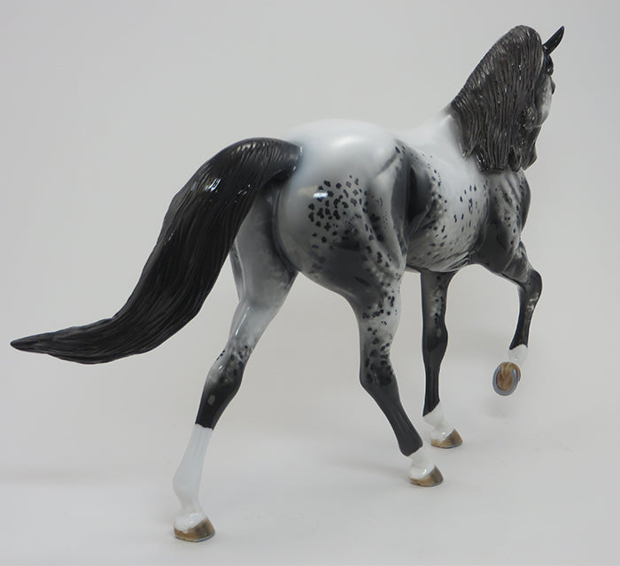 AQUENE- OOAK Dark Grey Roan Tennessee Walker 8/21