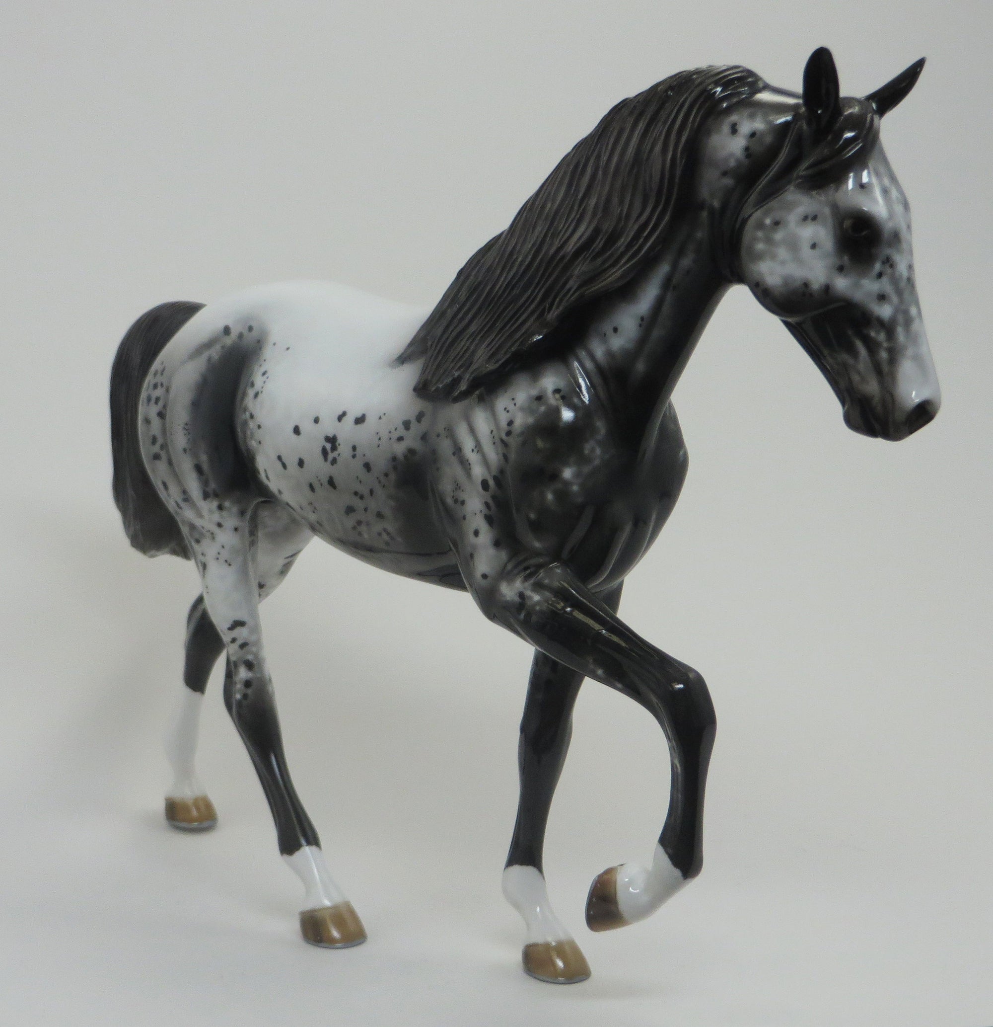 AQUENE- OOAK Dark Grey Roan Tennessee Walker 8/21