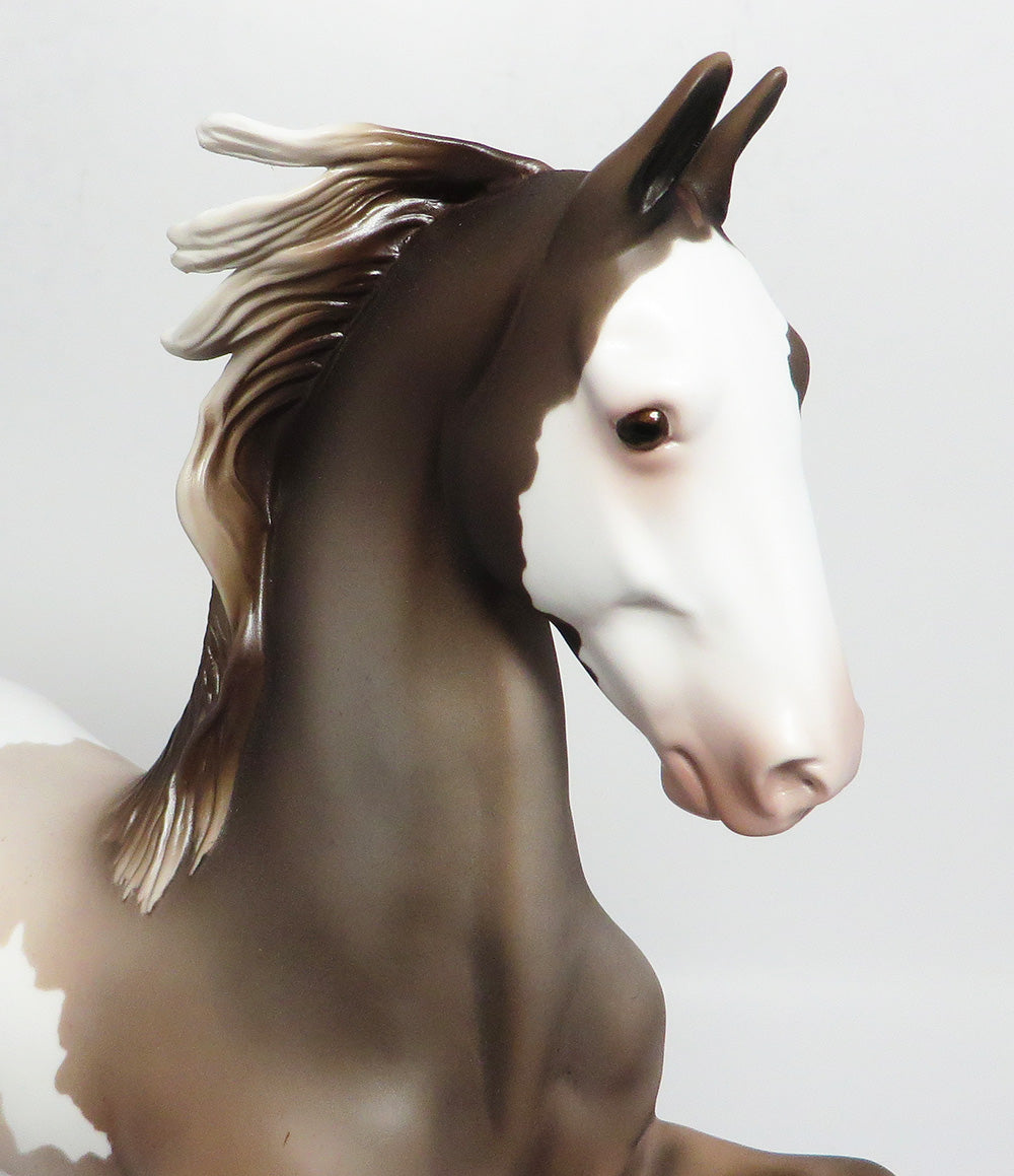 OLD FAITHFUL-PINTO SADDLEBRED EQ 2017