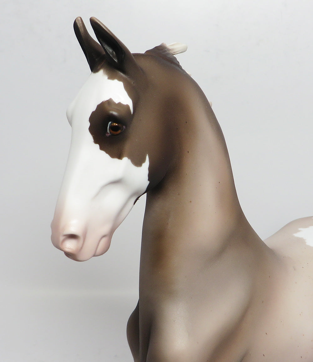 OLD FAITHFUL-PINTO SADDLEBRED EQ 2017