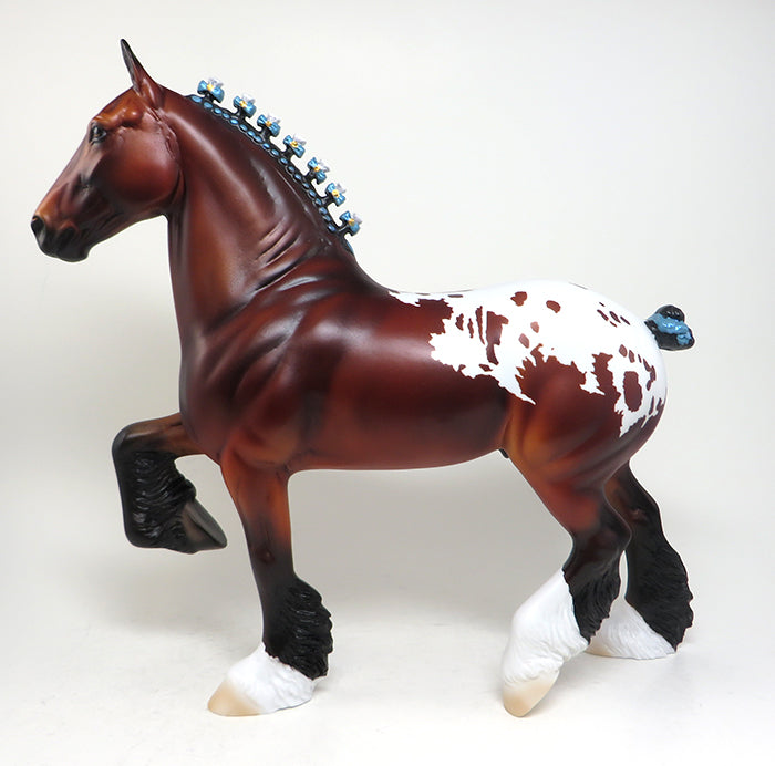 bay one call away appaloosa trotting drafter
