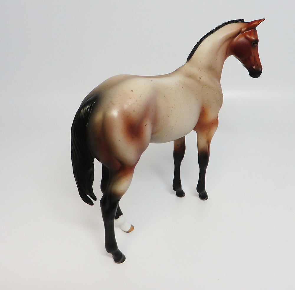 ONTARIO-LE.5 BAY ROAN ROACHED MANE WEANLING EQ2017