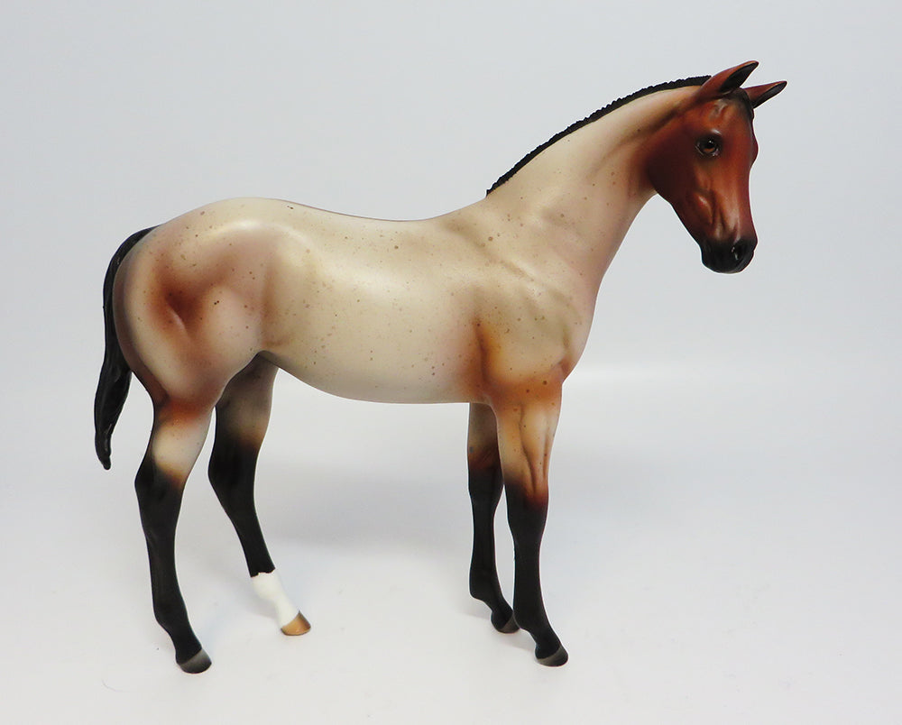 ONTARIO-LE.5 BAY ROAN ROACHED MANE WEANLING EQ2017