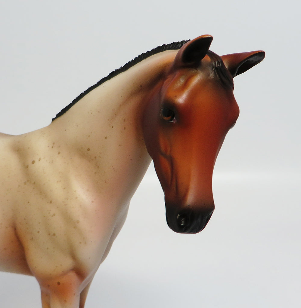 ONTARIO-LE.5 BAY ROAN ROACHED MANE WEANLING EQ2017