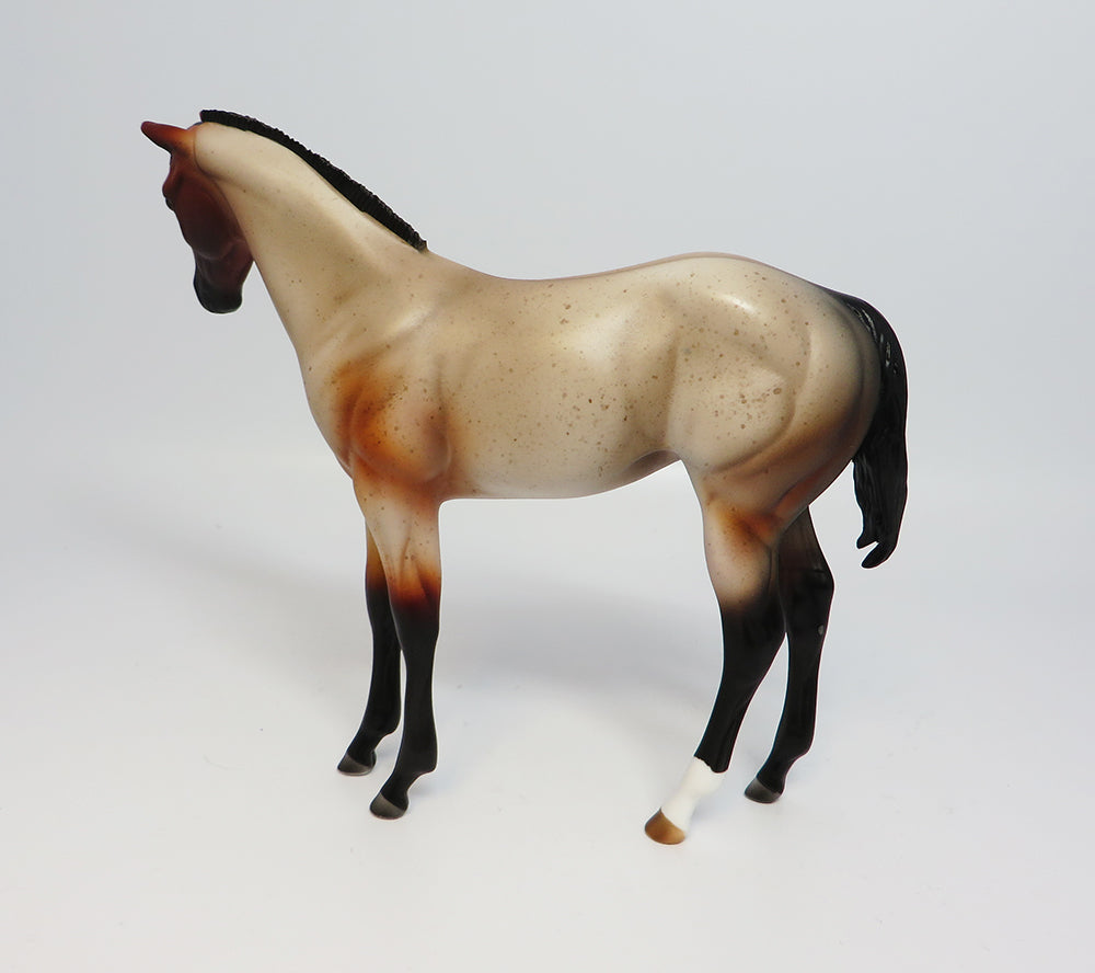 ONTARIO-LE.5 BAY ROAN ROACHED MANE WEANLING EQ2017