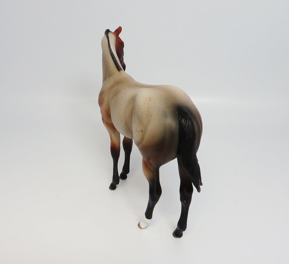 ONTARIO-LE.5 BAY ROAN ROACHED MANE WEANLING EQ2017