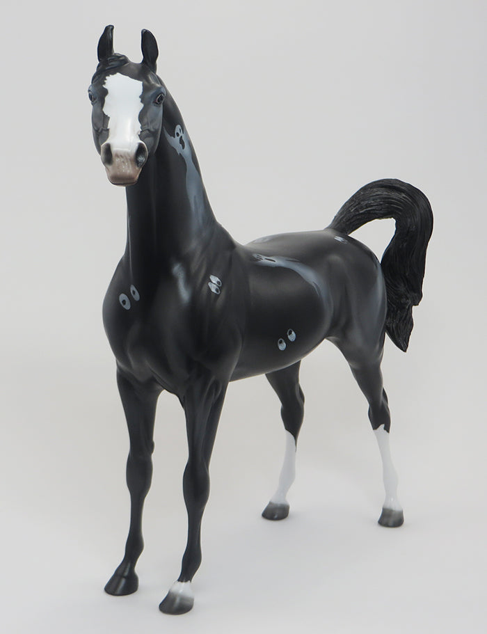 MIDNIGHT HOUR-HALLOWEEN ARABIAN-OOAK 9/18