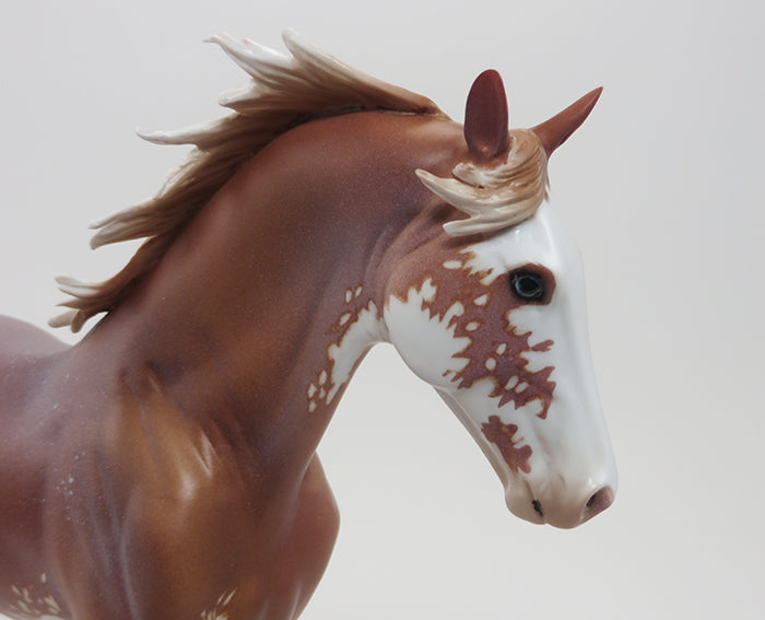 HICKORY - LIGHT CHESTNUT PAINT TENNESSEE WALKER 9/18