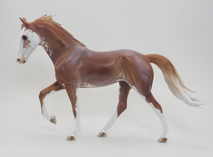 HICKORY - LIGHT CHESTNUT PAINT TENNESSEE WALKER 9/18