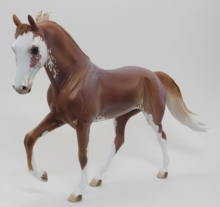 HICKORY - LIGHT CHESTNUT PAINT TENNESSEE WALKER 9/18