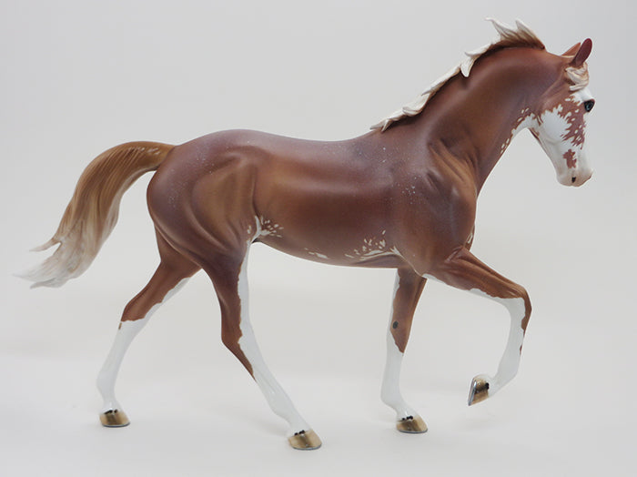 HICKORY - LIGHT CHESTNUT PAINT TENNESSEE WALKER 9/18