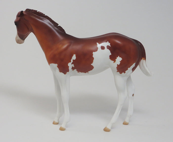 RAINDROPS - OOAK GREY APPALOOSA YEARLING by AL - 9/18