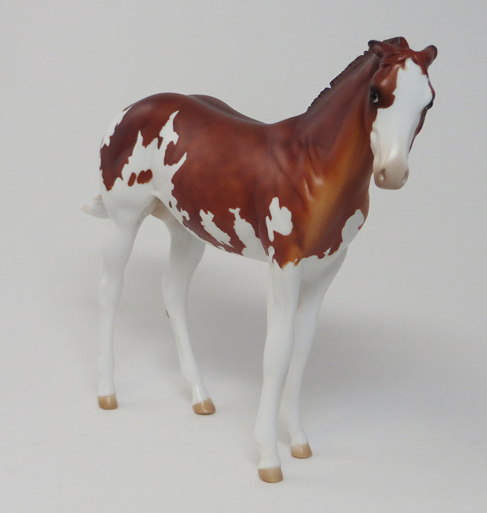 RAINDROPS - OOAK GREY APPALOOSA YEARLING by AL - 9/18