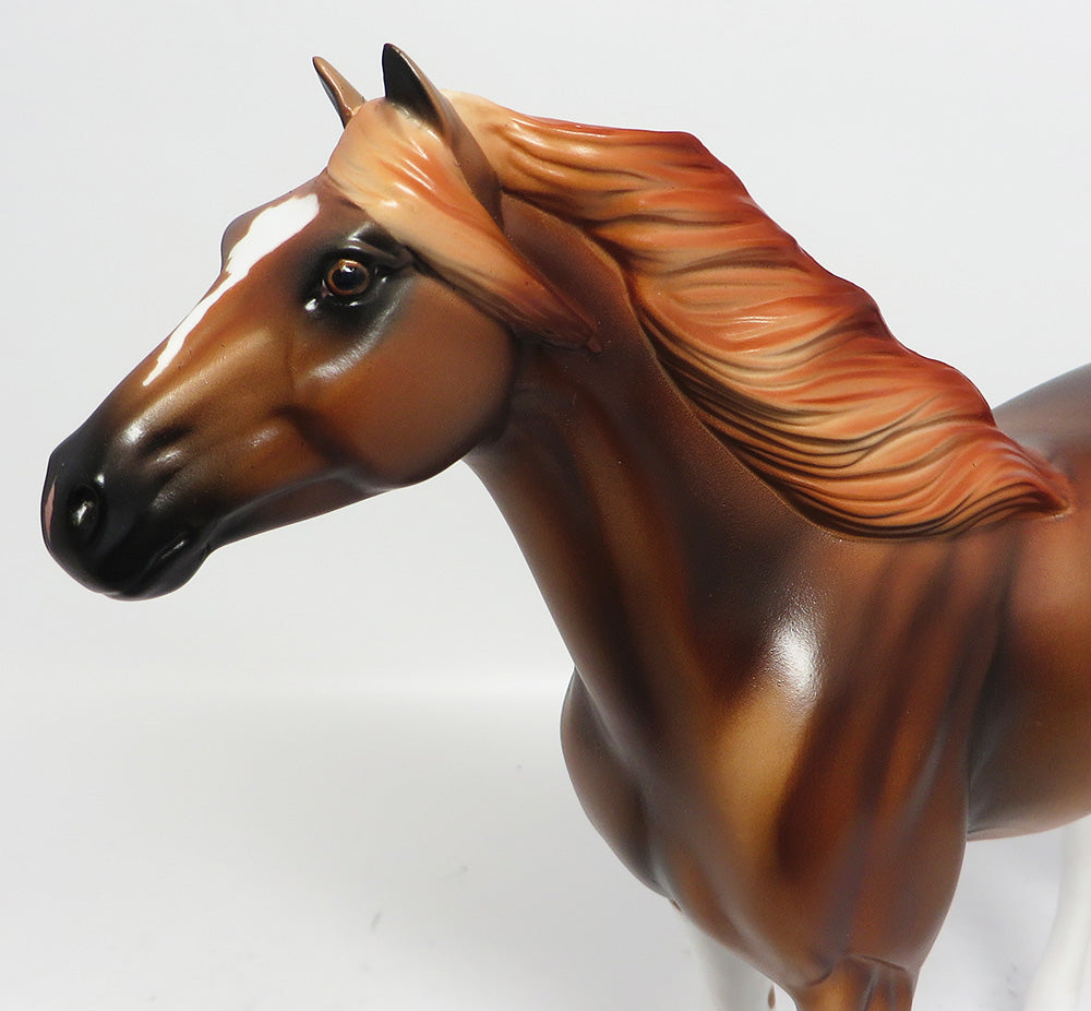 Multi Shaded Mane &amp; Forelock