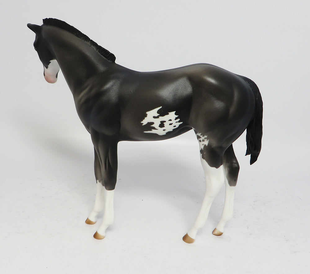 OZARK-LE-3 BLUE ROAN PINTO WEANLING MODEL HORSE 7/17/17