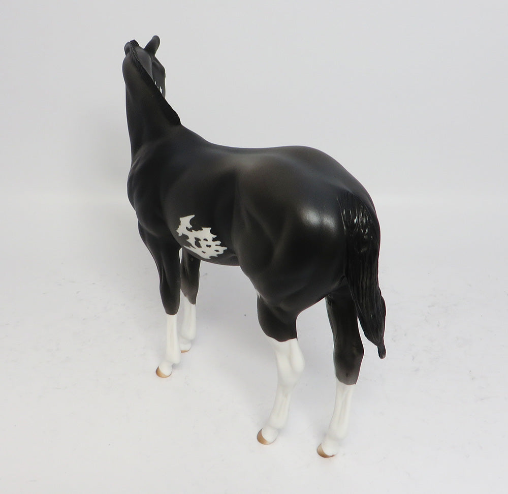 OZARK-LE-3 BLUE ROAN PINTO WEANLING MODEL HORSE 7/17/17