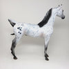 DOMINO EFFECT - OOAK APPALOOSA ARABIAN MODEL HORSE - 3/21