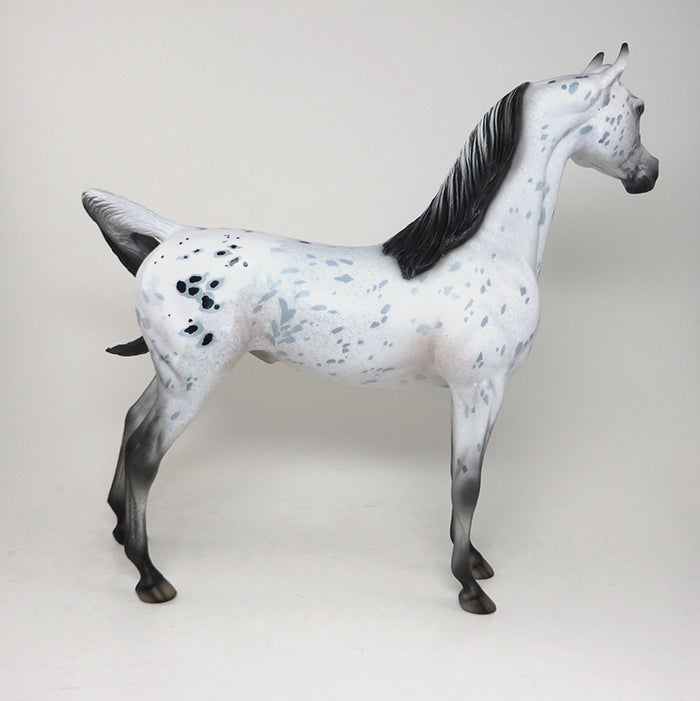 DOMINO EFFECT - OOAK APPALOOSA ARABIAN MODEL HORSE - 3/21