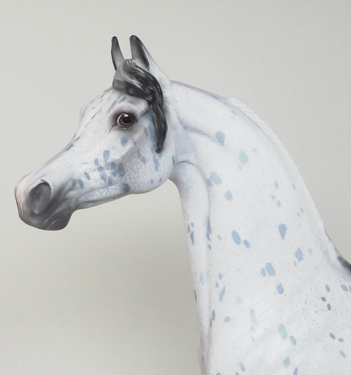 DOMINO EFFECT - OOAK APPALOOSA ARABIAN MODEL HORSE - 3/21