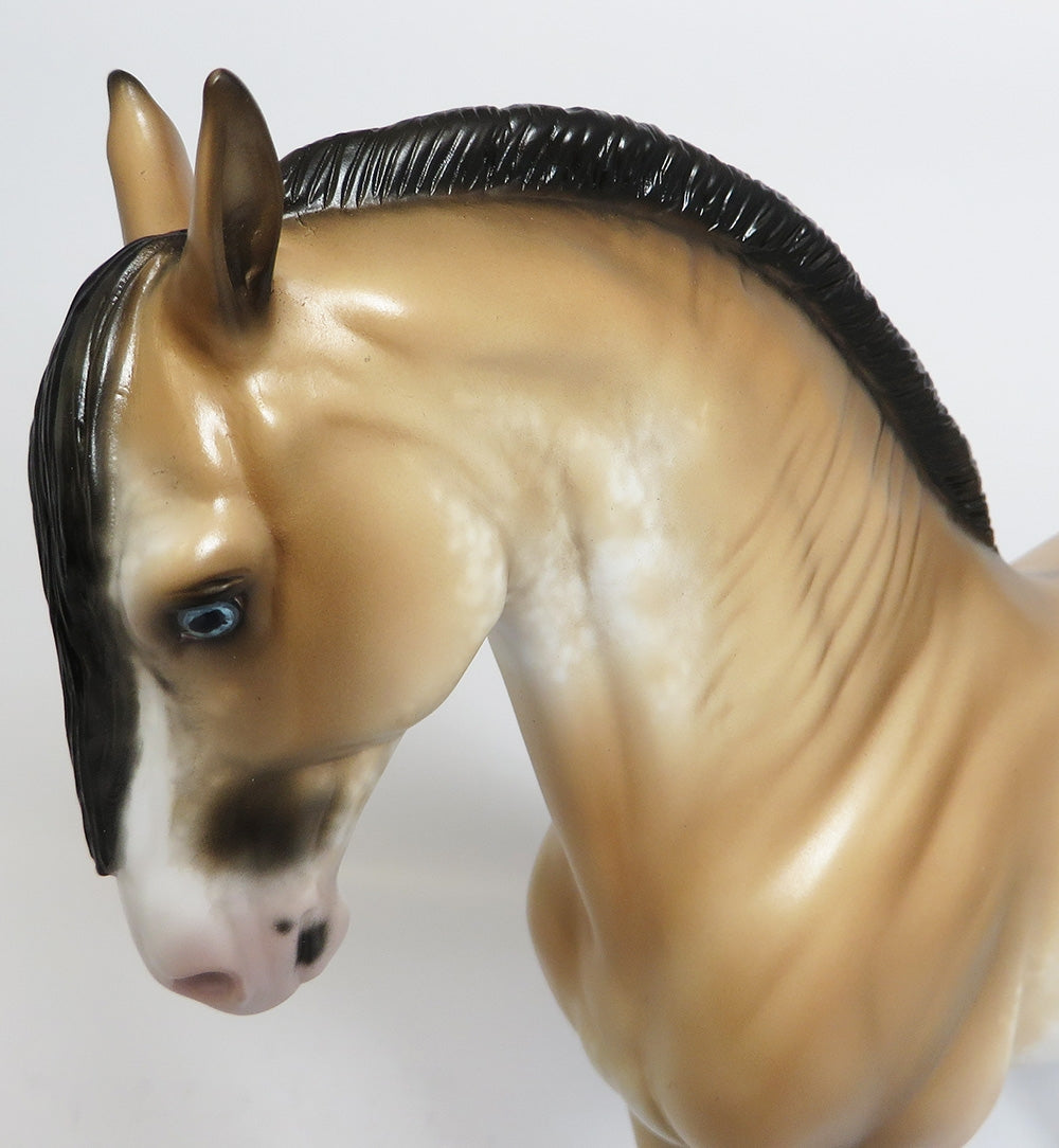 PARCHESI-OOAK BUCKSKIN SABINO ANDALUSIAN MODEL HORSE BY SHERYL LEISURE WHS 17