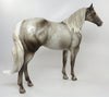 appaloosa