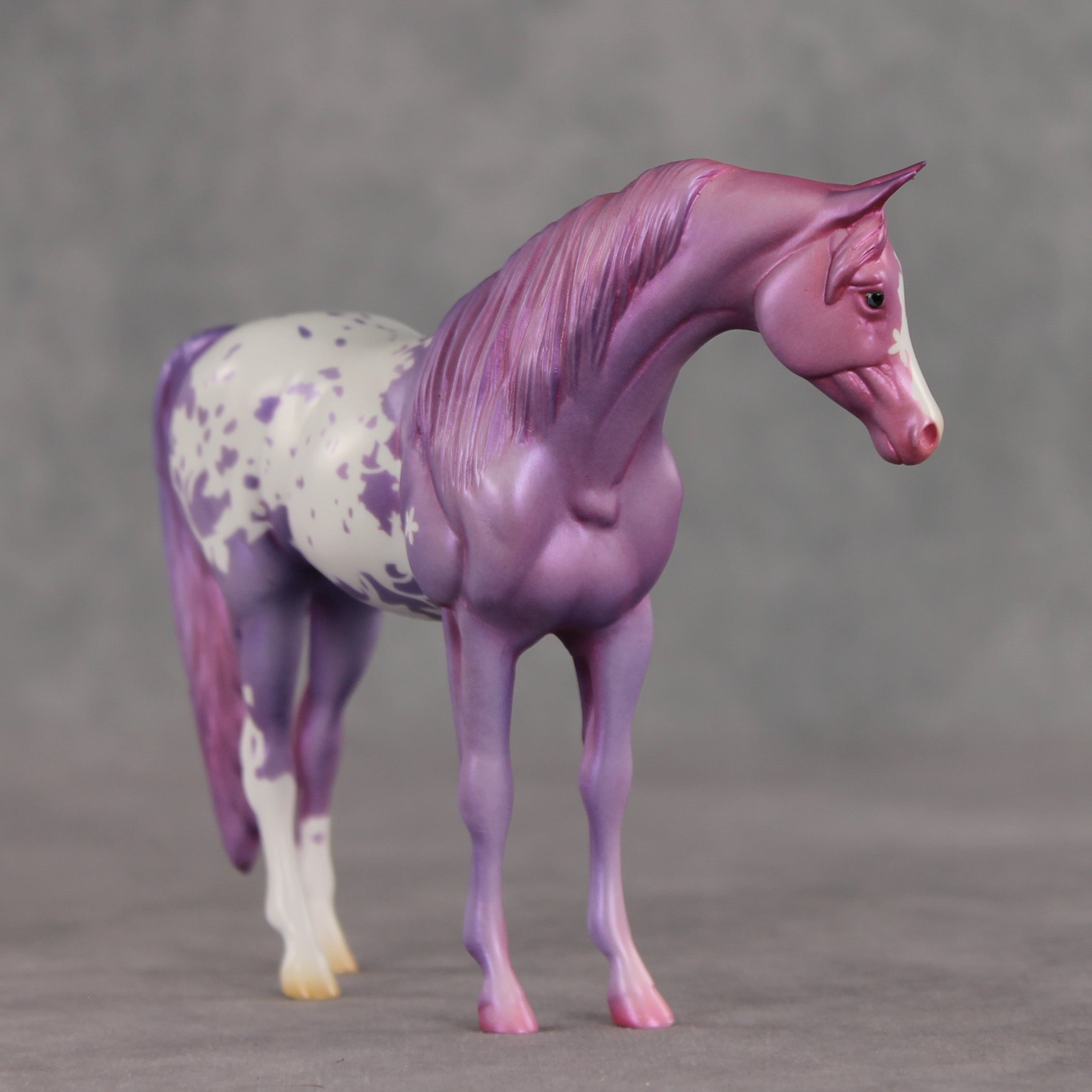 Pearly Petals OOAK Pebble Arabian Mare by Jess Hamill VV26