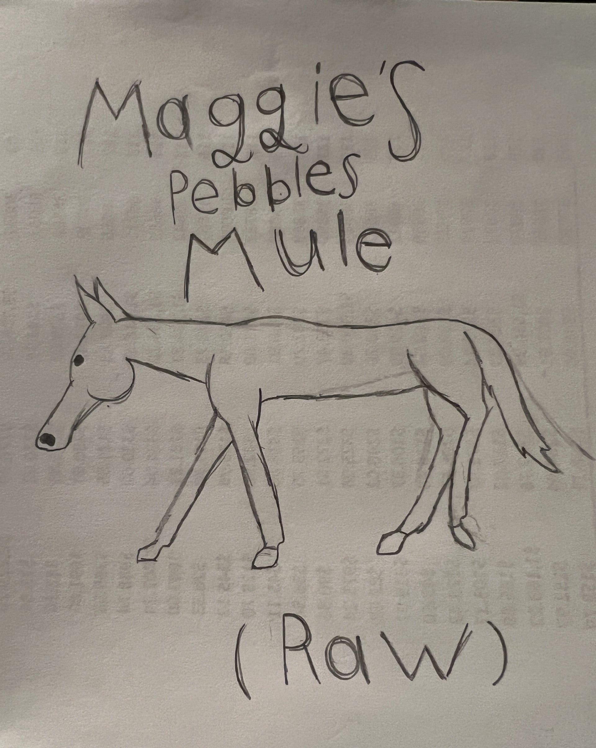 Pebbles Mule (Raw)
