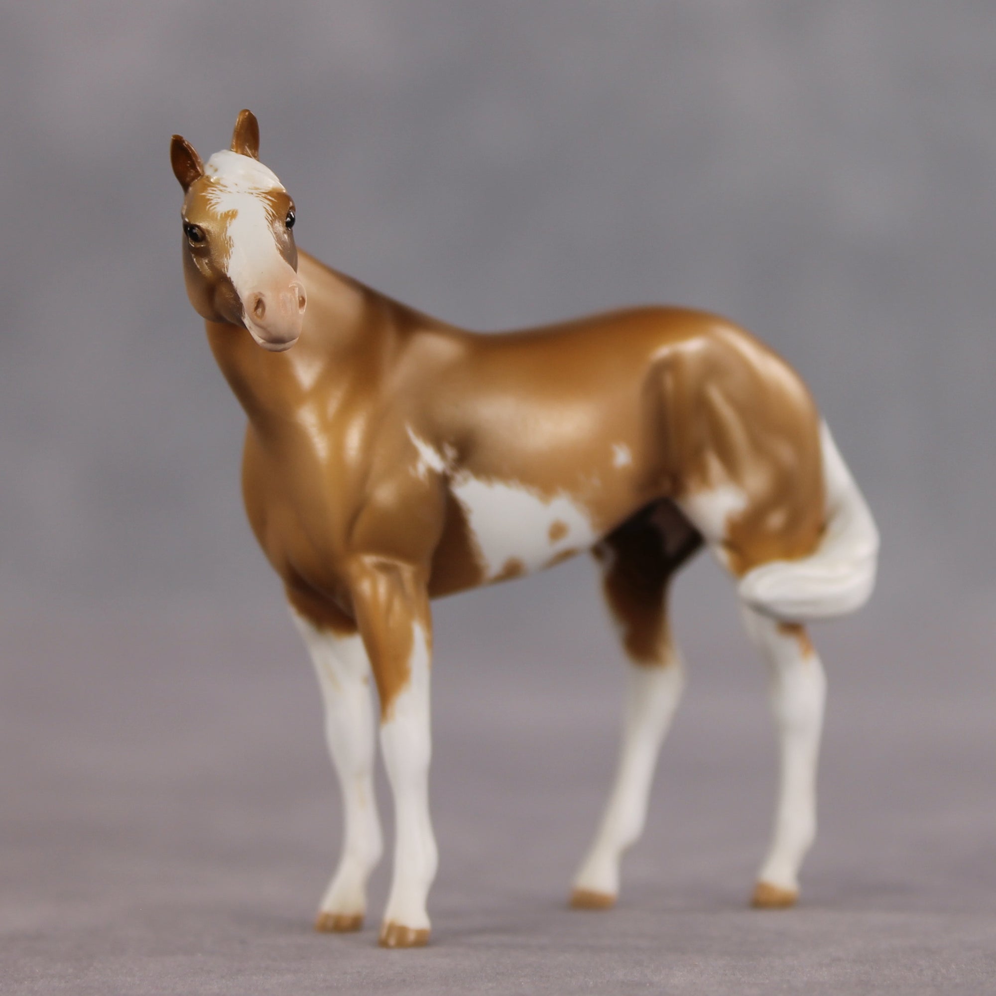 Pecans OOAK FCM Chip Stock Horse by Kristen Cermele EQ26