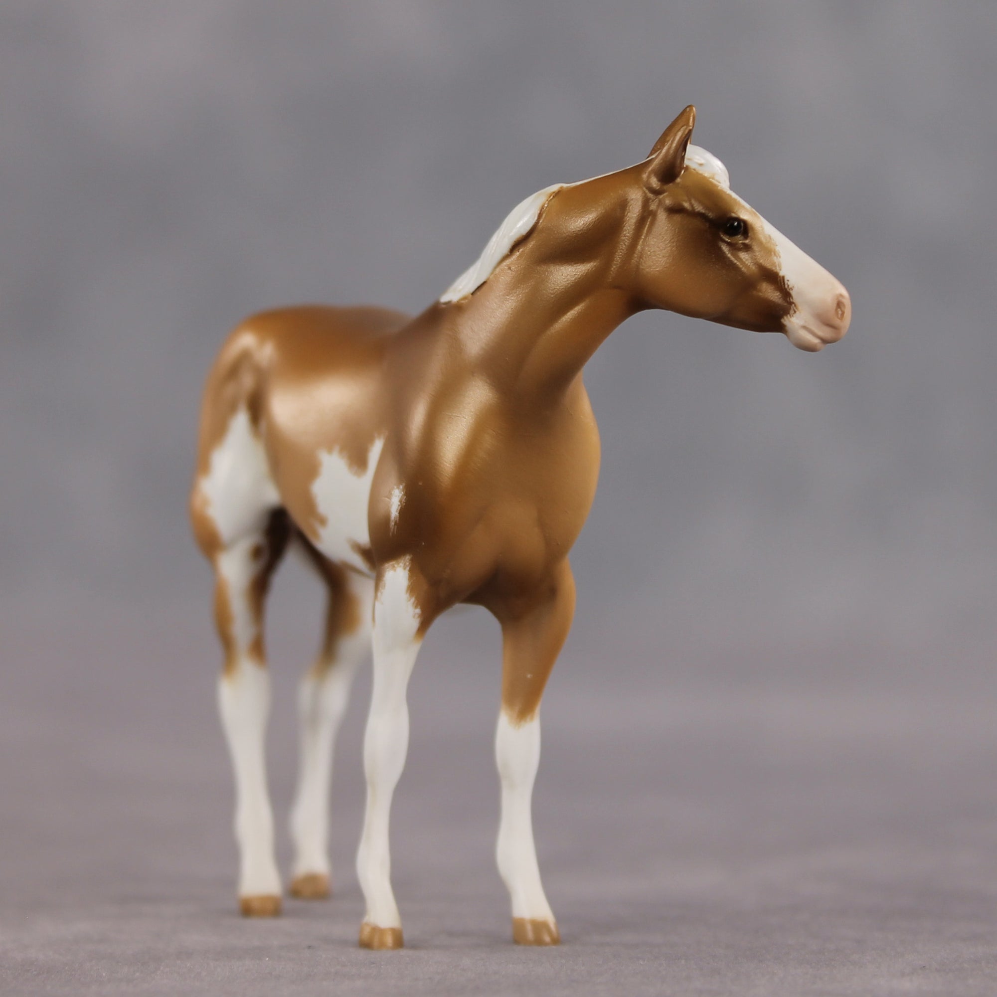 Pecans OOAK FCM Chip Stock Horse by Kristen Cermele EQ26