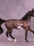 Peppermint Patty OOAK Arabian Mare by Jess Hamill HS25