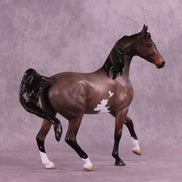Peppermint Patty OOAK Arabian Mare by Jess Hamill HS25