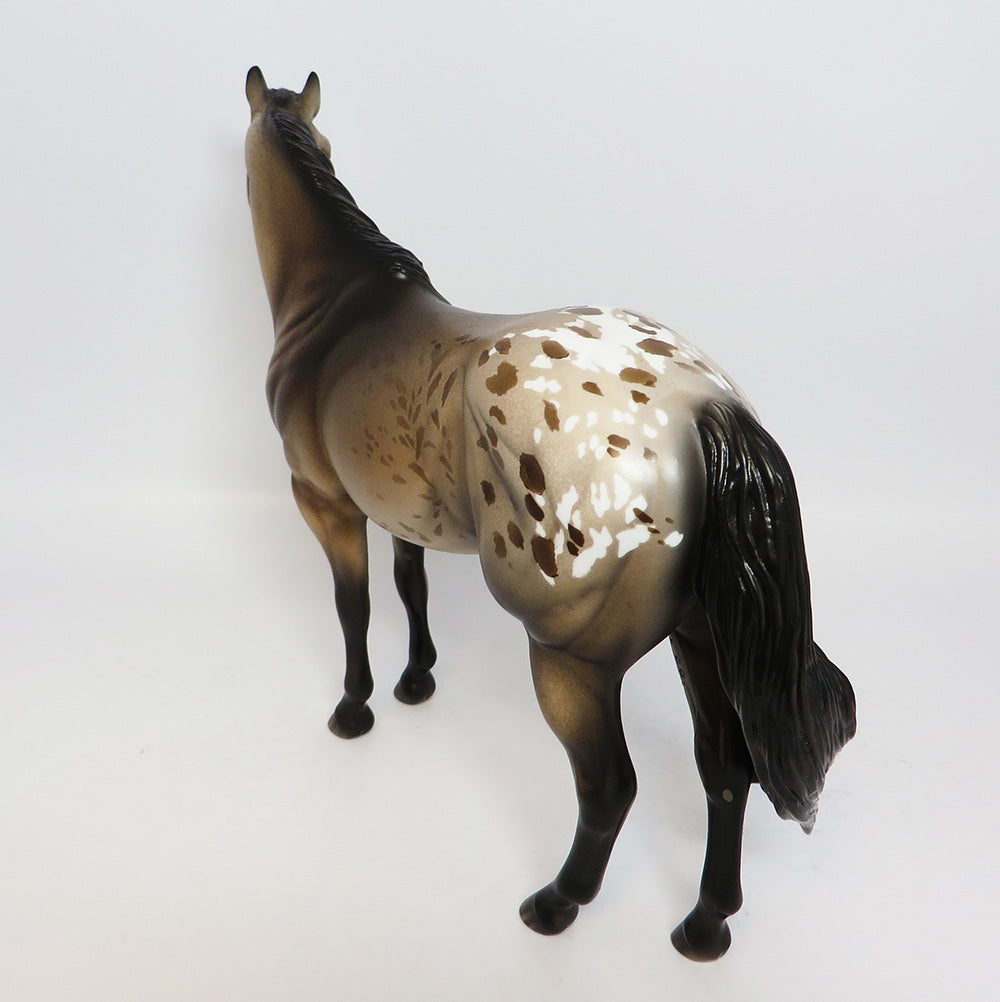 Appaloosa