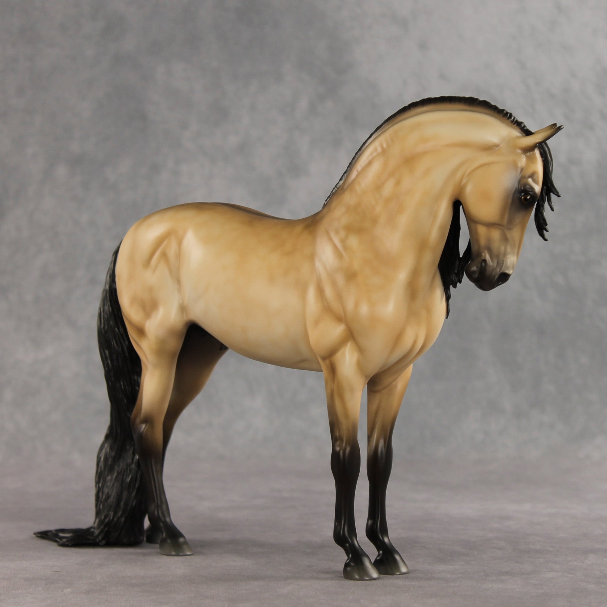 SAMPLE The Perfect Gentleman LE-5 EFCM Andalusian by Melanie Miller SS0826