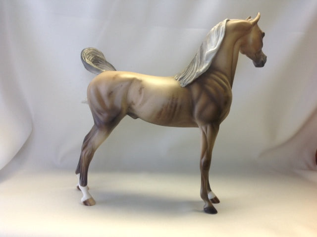 CANNOLI - Chestnut Rabicano Arabian 1/15
